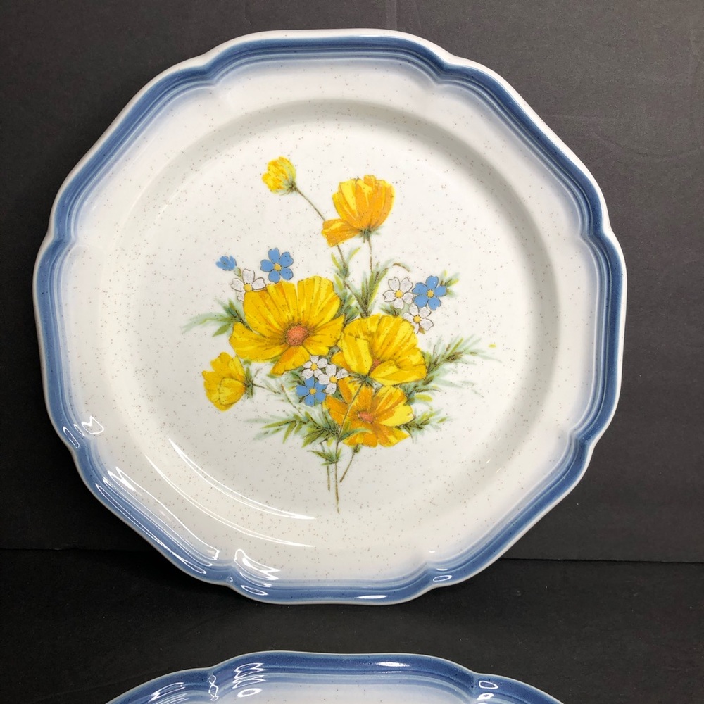 2 Mikasa Country Club Amy Dinner Plates in EUC - Picture 5 of 9